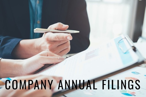 Preparing, filing & obtaining Companies Office Documents (Including Co. Offices Fees)