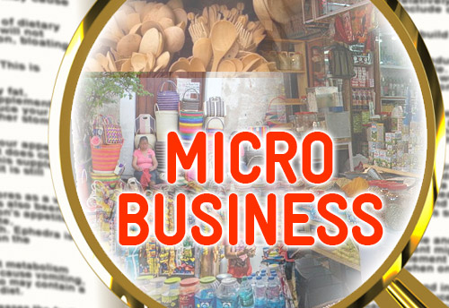 Micro Business Package - Monthly