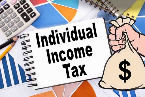 Income Tax Returns (Individuals)