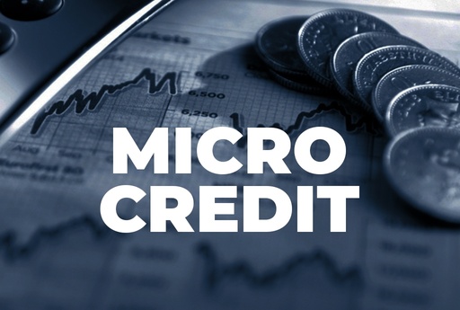 Microcredit Sourcing