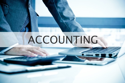 Accounting Basic - Monthly,             
 (billed monthly) 