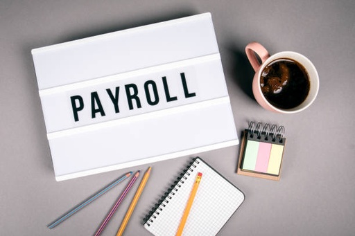 Payroll 20+ - Monthly