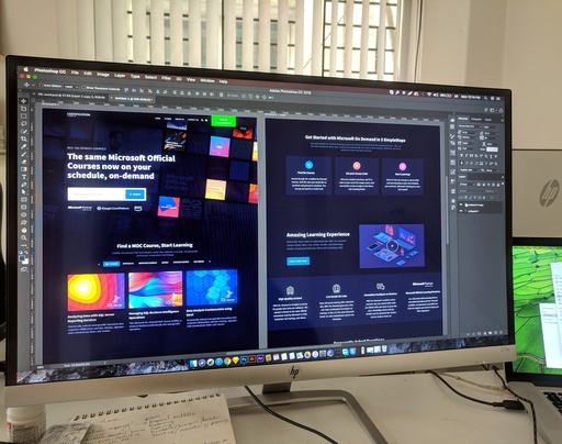 Website Building (MicroSite)