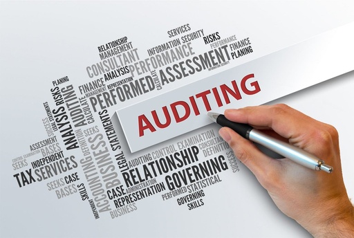 Auditing of Financial Statements