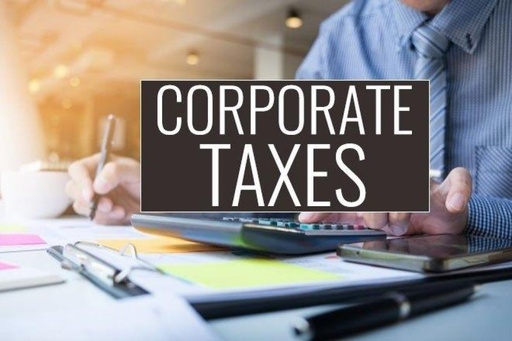 Income Tax Returns (Companies) 